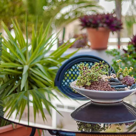 Cactus * Maspalomas (Gran Canaria)