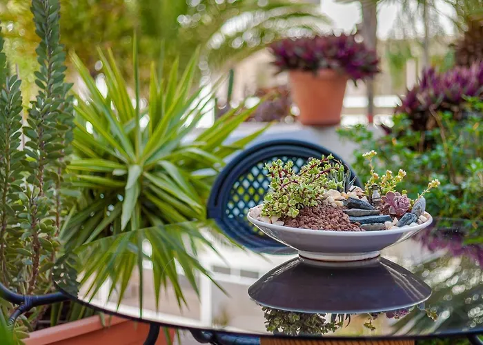 Cactus * Maspalomas (Gran Canaria)