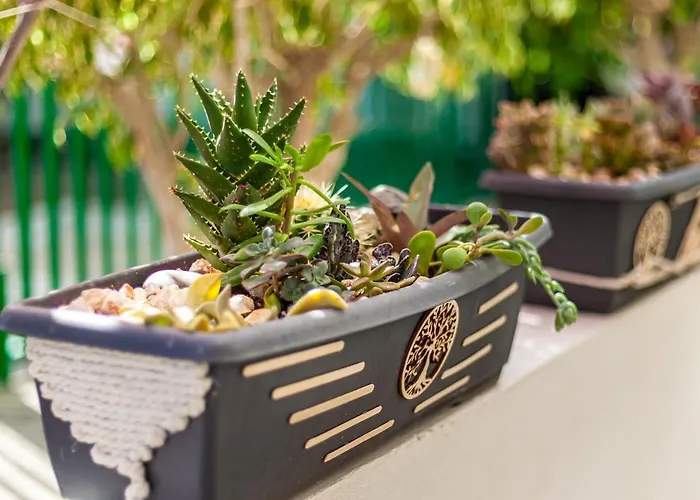 Lägenhet Cactus Maspalomas (Gran Canaria)
